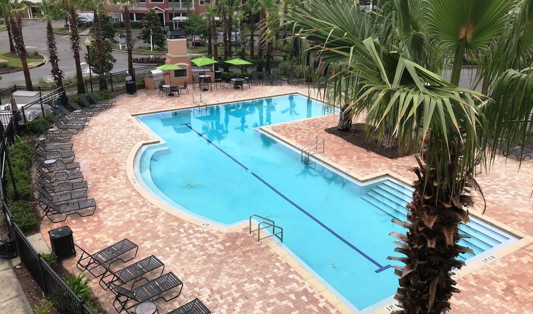 a pool with chairs and palm trees